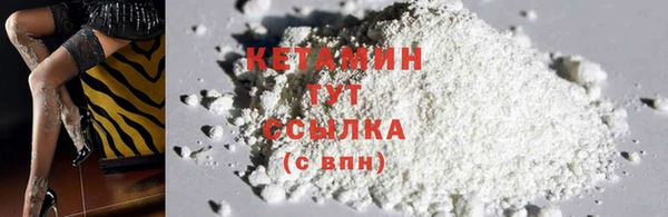 крисы Осташков