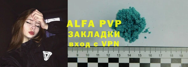 крисы Осташков